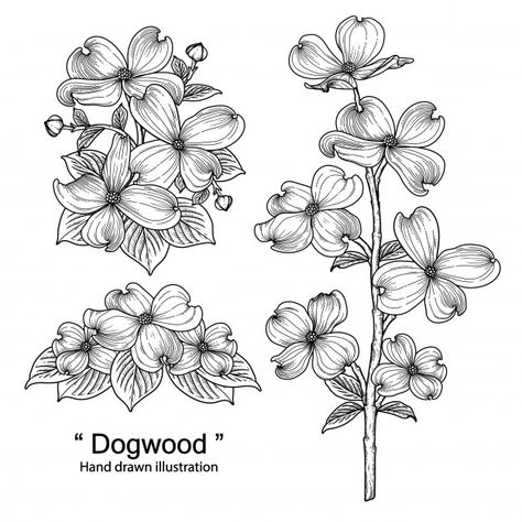 Dogwood Flower Tattoos, Black Line Art, Dogwood Branches, Embroidery Tattoo, Branch Vector, Dogwood Flower, Pink Dogwood, Flower Drawings, Decorative Set