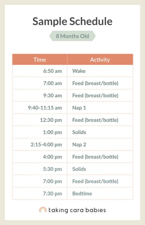 Sleep Schedule 8 Month Old, 8 Months Sleep Schedule, 8 Month Old Baby Schedule, 8 Month Old Nap Schedule, 7-8 Month Old Schedule, 8 Month Old Wake Windows, Taking Cara Babies 3 Month Schedule, 8 Month Schedule, 7 Month Old Schedule