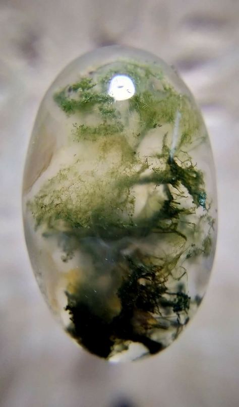 Moss Agate Aesthetic, Moss Aesthetic, Moss Crystal, Key Tattoos, Moss Agate Crystal, Moss Agate Stone, Rocks And Fossils, Green Moss Agate, Jade Crystal