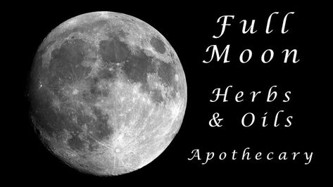 Full Moon Herbs, Moon Herbs, Go With Your Gut, Spiritual Bath, Ritual Bath, Moon Cycles, Daily Practices, Energy Field, Focus On Yourself