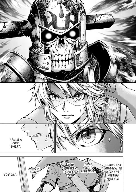 Ordon Village, Twilight Princess Manga, Legend Of Zelda Manga, Akira Himekawa, Legend Of Zelda Twilight Princess, Legend Of Zelda Characters, Zelda Twilight Princess, Link Zelda, Viz Media