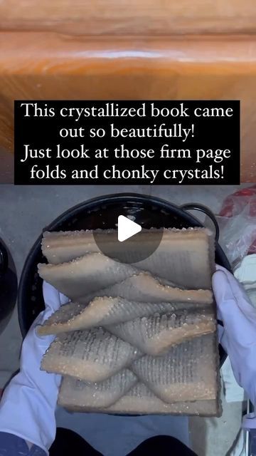 ᴛʜᴇ ʜᴏʀʀᴏʀ ɢᴀʟʟᴇʀʏ on Instagram: "CRYSTALLIZED BOOKS !!! ✨📖 I can’t wait to see this one all dried out !! . By @half.moon.magic . . #crystal #crystals #crystalbook #crystalbooks #crystalgram #recycledart #recycledbook #recycledcrafts #crystallover #booklover #bookworm #books #booklove #bookstagram #lovebooks #bookish #bookaesthetic #bookaesthetics #bookishbounds #witchyvibes #witchy #crystalsofinstagram #gifts #curiosities #oddities" Crystalised Book, Crystallised Book, Borax Crystal Book Diy, Diy Crystalized Book, How To Crystallize A Book, How To Crystallize Books, Crystallized Book Diy, Borax Book, Fake Crystals Diy