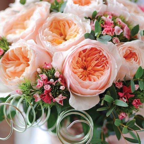 Most Expensive Wedding, Juliet Garden Rose, Expensive Wedding, Garden Rose Bouquet, Juliet Rose, Expensive Flowers, Rose Varieties, Meteor Garden 2018, Wedding Expenses