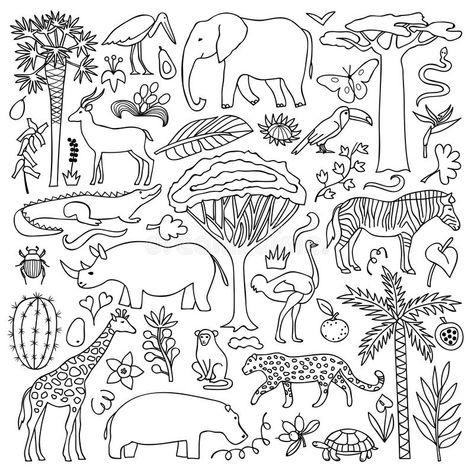 African Plants Illustration, South African Animals, Africa Drawing, Jungle Drawing, Safari Nursery Wall, Wall Decor Kids Room, Doodle Wall, Woodland Wallpaper, African Plants