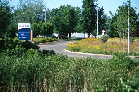 40 acre restoration at Centracare in St. Cloud, MN. Green Clouds Aesthetic, Cirrostratus Clouds, Monte Verde Cloud Forest, Azure Cloud Microsoft, Altocumulus Clouds, St Cloud, Native Plants, Natural Beauty, Country Roads