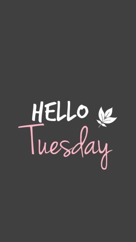 Tuesday Wallpaper, It’s Tuesday, Hello Tuesday Mornings, Hello Tuesday, Iphone Dynamic Wallpaper, Tuesday Quotes, Tuesday Morning, Turquoise Background, Daily Word