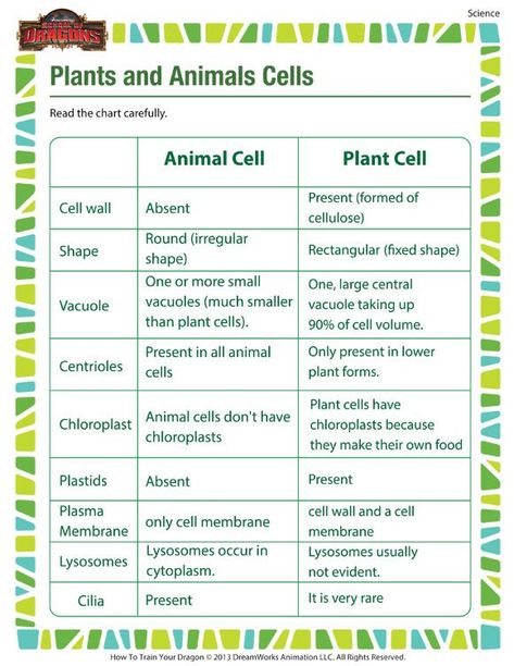 Plants and Animals Cells - Printable science worksheets for 5th grade Science Cells, Cells Worksheet, Plant Cells, Plant And Animal Cells, Biology Classroom, 7th Grade Science, 4th Grade Science, 6th Grade Science, Animal Cell