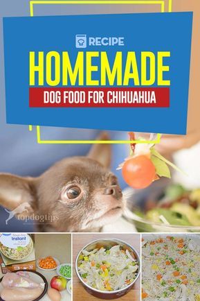 Homemade Food Recipes, Smallest Dog, Face Printable, Chihuahua Breeds, Accessories List, Pets Food, Cavachon Puppies, Diy Dog Food, Make Dog Food