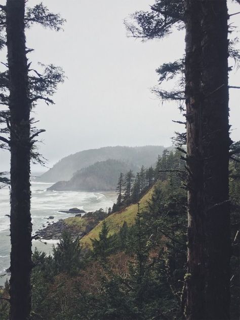 Ecola State Park. Cannon Beach, Oregon Moody Oregon Coast, Ecola State Park Oregon, Oregon Coast Aesthetic, Adventurous Aesthetic, Oregon Aesthetic, Dark Naturalism, Ecola State Park, Cannon Beach Oregon, Between Two Worlds