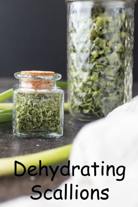 Dehydrating scallions is a great way to preserve this summer vegetable to use all year. They are incredibly versatile and will save you money. How To Preserve Scallions, Green Onions Growing, Zucchini Relish, Garlic Scapes, Making Mashed Potatoes, Everyday Dishes, Raw Vegetables, Summer Vegetable, Glass Mason Jars