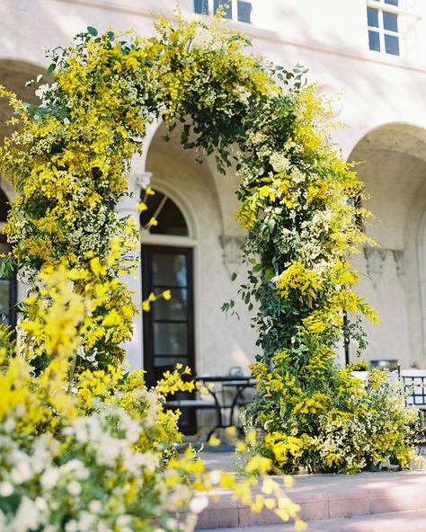 This yellow arch still has our little hearts 💛 Floral Archway, Summer Yellow, Aisle Decor, Floral Arch, Wedding Mood Board, June 17, Wedding Mood, Wedding Arch, Small Flowers