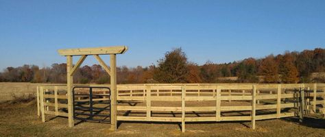 Wood Round Pens For Horses, Wooden Round Pen For Horses, Horse Round Pen Ideas, Round Pen Ideas, Diy Round Pen, Horse Round Pen, Show Cattle Barn, Round Pens For Horses, Horse Pens