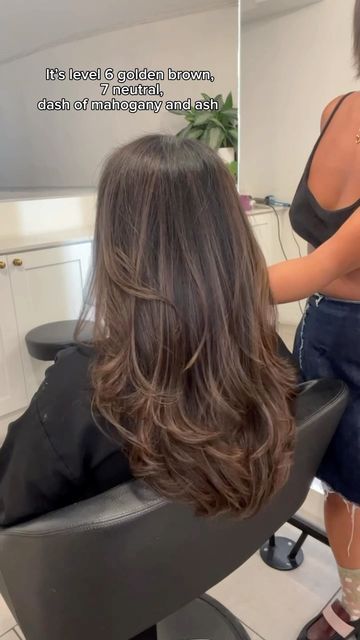 Brown Balayage Hair On Dark Hair, Hair Colour On Dark Hair, Dimensional Brunette Curtain Bangs, Brown Balayage For Brown Skin, Dark Brown Hair With Highlights Aesthetic, Long Layers On Dark Brown Hair, Light Tips On Dark Hair, Haircuts For Brunette, Aesthetic Hair Colour For Brown Skin