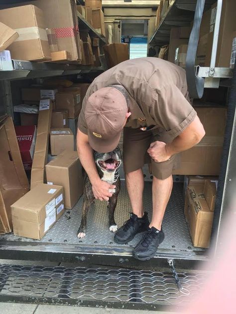 The relationship between dog and delivery person hasn’t always been one of tail wags and head pats, but a huge group of UPS drivers is out to change that. UPS Dogs is a Facebook page all about the thousands of … Head Pats, Facebook Page, Ups, Dogs