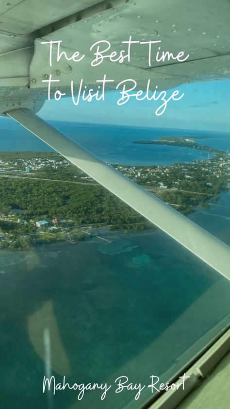 Before you plan your trip, read through this blog to learn about the seasons, weather, and best events in Belize throughout the year. Then, book your stay with us, Mahogany Bay Resort! Things To Do In Belize, Mahogany Bay, San Pedro Belize, San Pedro, Plan Your Trip, The Seasons, Beach Club, Belize, The Caribbean