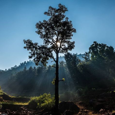 Araku Valley.  https://renghaholidays.com/packages/171/Explore-the-natural-beauty-of-Araku-Valley-2N-3D  Araku Valley is a hill station and valley region in the southeastern Indian state of Andhra Pradesh. It's surrounded by the thick forests of the Eastern Ghats mountain range. The Tribal Museum is dedicated to the area's numerous indigenous tribes, known for their traditional Dhimsa dance, and showcases traditional handicrafts. A miniature train runs through Padmapuram Gardens, with its sculpt Araku Valley Photography, Indian Mountains, Araku Valley, Miniature Train, Valley Photography, India Travel Places, Indigenous Tribes, Hill Station, Vision Boards