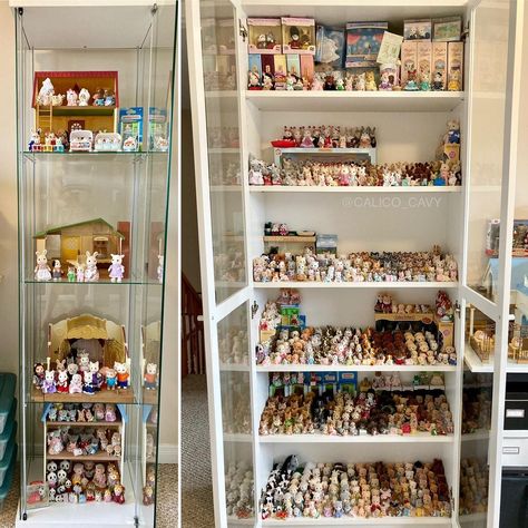 Trinket Organization, Calico Critters Storage Ideas, Nom Noms Toys, Collection Room, Calico Critters Families, Calico Critter, Sylvanian Family, Current Obsession, Calico Critters