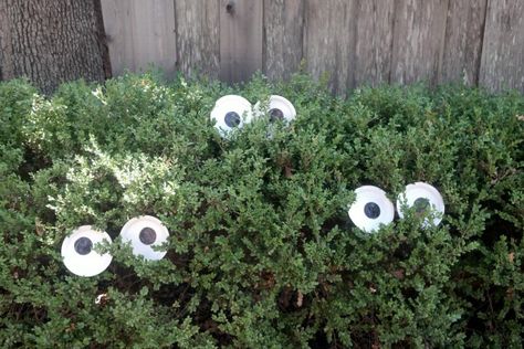 Halloween Yard Ideas, Creepy Halloween Decorations Diy, Halloween Accessories Diy, Halloween Cards Diy, Diy Halloween Dekoration, Creepy Halloween Party, Halloween Diy Outdoor, Casa Halloween, Halloween Cans