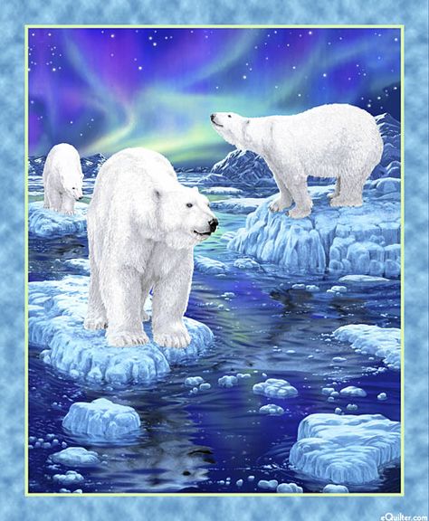 Polar Bear Art, Northern Lights (aurora Borealis), Aurora Borealis Northern Lights, Quilt Fabrics, Animals Art, Bear Art, Polar Bears, Fabric Panel, Panel Quilts