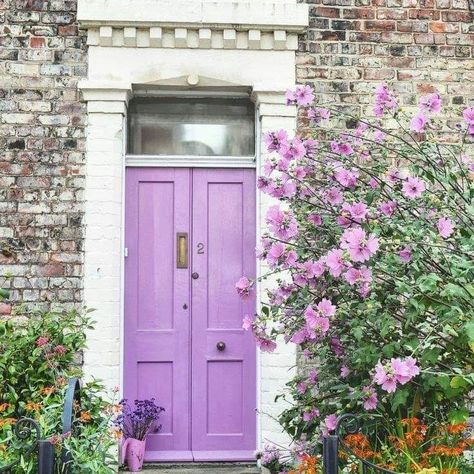 Purple Front Door, Purple Door, Painted Front Doors, Cool Doors, Front Door Colors, Romantic Homes, Newcastle Upon Tyne, Purple Lavender, Door Color