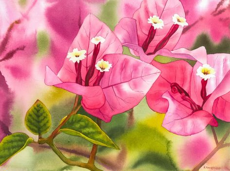 Spanish Mural, Bougainvillea Drawing, Bougainvillea Painting, Flowers Paintings, Coloring Ideas, Learn How To Paint, Watercolor Painting Techniques, Watercolor Flower Art, Flower Paintings