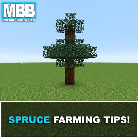 Spruce Tree Minecraft, Minecraft Spruce Tree, Spruce Trees, Spruce Tree, Minecraft, Instagram Profile, Trees, Cake, Outdoor Decor