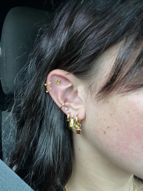 Gold studs & hoops. Conch piercing, flat piercings, double helix piercing, lob piercings. Conch Piercings Ear, Conch Helix And Lobe Piercing, Conch Earring Ideas, Double Conch Piercing Hoop, Double Conch Piercing Studs, Flat Ear Piercings Ideas, Double Orbital Piercing, Flat Piercing Ears, Double Helix And Conch