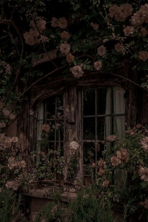 Eliza + Core + Aesthetic, Cottage Core House Aesthetic, Cottage Core Room, Cottage Core House, The Cruel Prince, Forest Core, Fairy Village, Black Fairy, Holly Tree