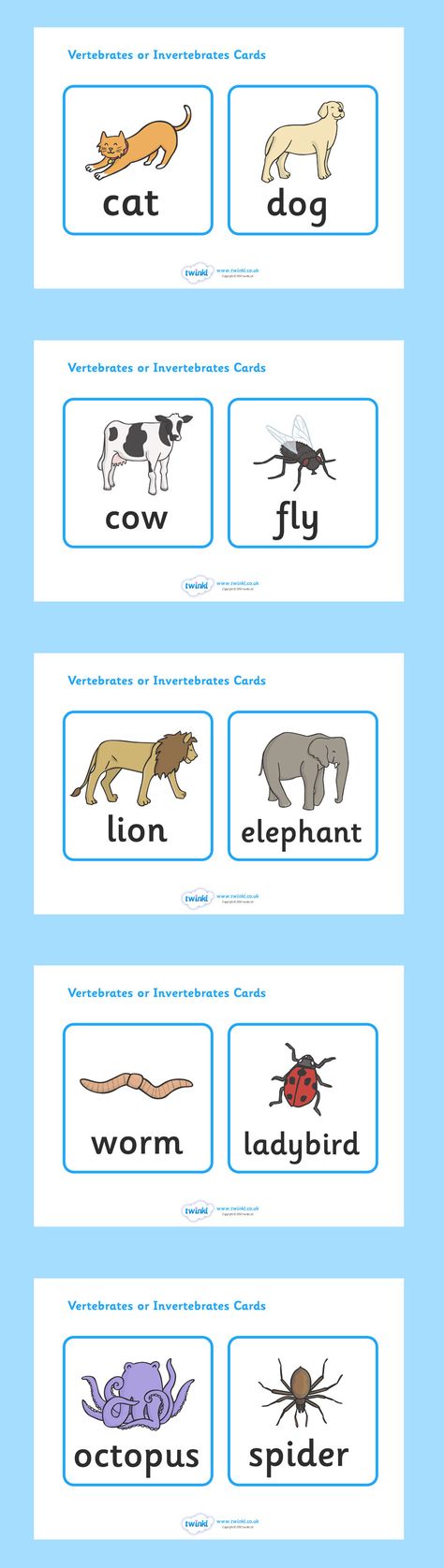 Vertebrates Or Invertebrates Cards - twinkl Teaching Worksheets, Vertebrates And Invertebrates, 10 Animals, Stem Subjects, Animal Classification, Learning Poster, Teaching Students, Cool Science Experiments, Weird Science