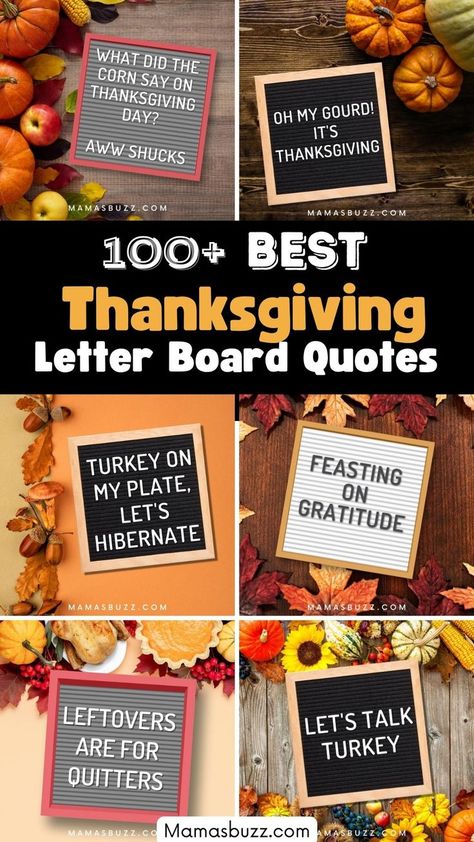 thanksgiving letter board Thanksgiving Letter Board Quotes, Thanksgiving Letter Board, Letter Board Ideas, Thanksgiving Puns, Letterboard Signs, Thanksgiving Letter, Letter Board Quotes, Thanksgiving Quotes Funny, Thanksgiving Jokes