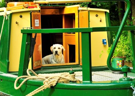 Interior design of a narrowboat Narrowboat Interiors Inspiration, Barge Boat, Narrowboat Interiors, Canal Barge, Narrow Boats, Boat Interiors, Canal Boats, Log Burning Stoves, Click Flooring