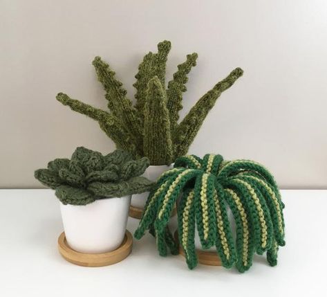 It’s Always The Right Time To Knit a Mini Houseplant Trio … So Fun, Makes A Great Gift! | KnitHacker Crochet Succulent, Crochet Garden, Spider Plant, Crochet Plant, Mini Plants, Crochet Home Decor, Crochet World, Spider Plants, Fun Crochet Projects