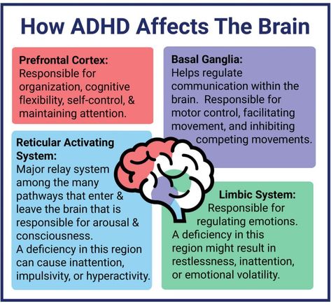 What is Attention Deficit Hyperactivity Disorder (ADHD)? What Is Neurodivergent, Attention Deficit, Cognitive Behavioral Therapy, Neurology, Behavioral Therapy, Life Experiences, The Brain, Psychology, I Hope