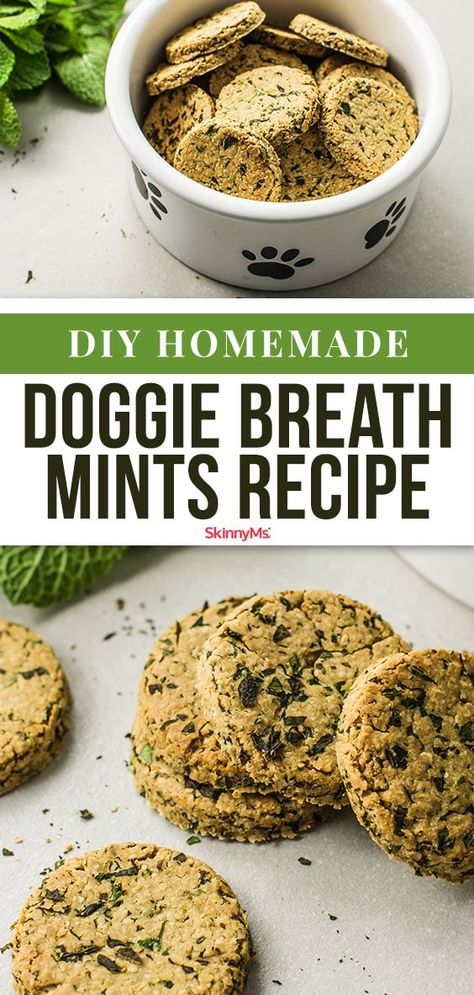 DIY Doggie Breath Mints Dog Breath Mints, Dog Treats Homemade Easy, Easy Dog Treat Recipes, Dog Breath, Dog Biscuit Recipes, Easy Dog Treats, Healthy Dog Treats Homemade, Diy Dog Treats, Dog Treats Homemade Recipes