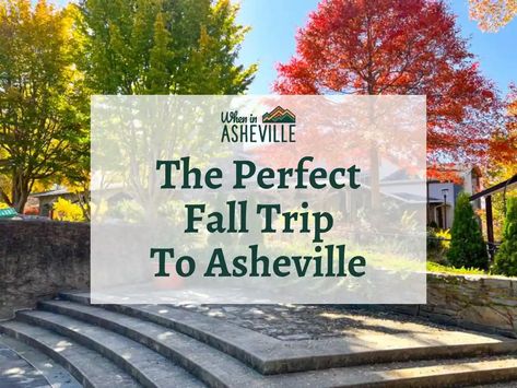 An itinerary for the perfect fall weekend in Asheville. We share where to eat and what to do for the most memorable experience. Things To Do In Asheville, Autumn Weekend, Weekend Itinerary, Fall Travel, Asheville Nc, Fall Fun, Asheville, Fall Season, The Fall