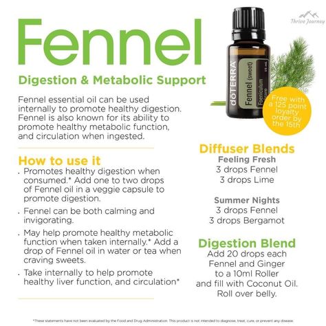 Sore Throat Essential Oils, Benefits Of Fennel, Cooking Desserts, Fennel Oil, Fennel Essential Oil, Doterra Essential Oils Recipes, Essential Oil Diffuser Blends Recipes, Young Living Essential Oils Recipes, Essential Oils Guide