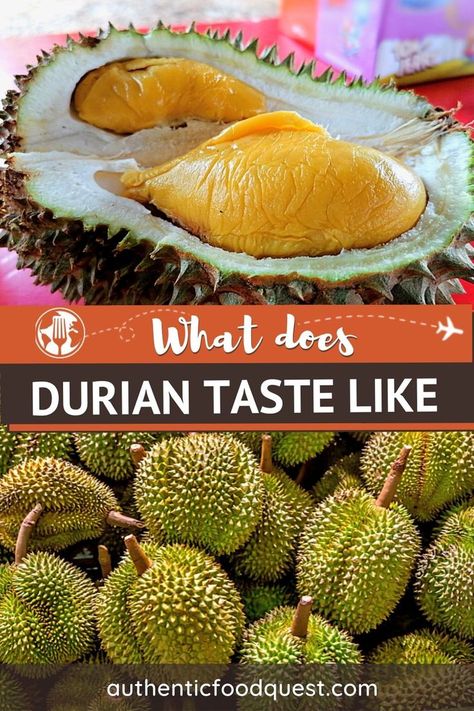 What does durian taste like was one question we had while exploring the local food specialties in Southeast Asia. The durian fruit inspires much debate, and people either love it or hate it. Here is our attempt to make you appreciate or at least help you understand what this unique durian fruit smells and tastes like. | Authentic Food Quest. Durian Recipe, Durian Fruit, Fruit Health Benefits, Fruit Benefits, Food Experiences, Authentic Recipes, Tropical Fruits, Food Tours, Digestion Problems