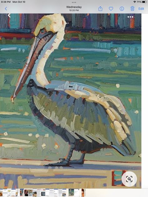 Rene Wiley, Pelican Art, Illustration Photo, Gallery Artwork, Arte Animal, Coastal Art, Dog Paintings, Wildlife Art, Birds Painting