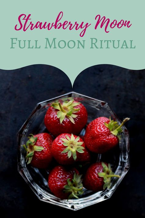 Full Moon Tea, Strawberry Full Moon, Hilarious Animal Memes, Full Strawberry Moon, Pagan Moon, Witches Wheel, Full Moon Tarot, Moon Ceremony, Pagan Lifestyle