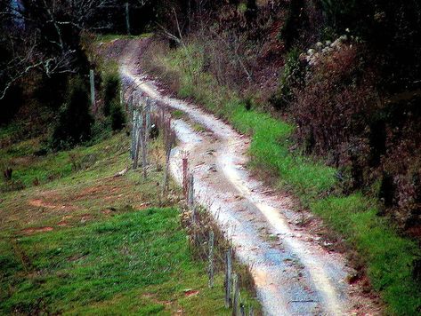 Appalachian back road leading to the granny witches house Granny Magic, Witches House, Cumberland Gap, Tennessee Nashville, Serbia Travel, Carolina Mountains, Folk Magic, North Carolina Mountains, Magical Life