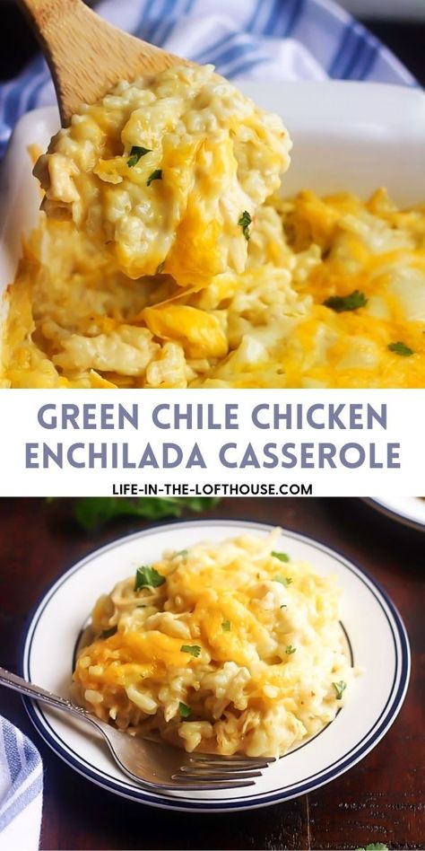 Green Chile Chicken Enchilada Casserole Cream Cheese Rice, Green Chili Chicken Enchilada Casserole, Green Chile Chicken Enchilada Casserole, Rice Casseroles, Mexican Casseroles, Chicken Sour Cream, Crowd Recipes, Enchilada Rice, Latino Recipes