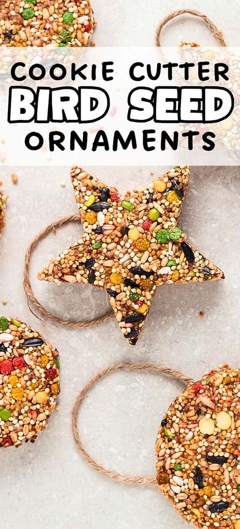 If you're looking for a new craft project to work on, this one might be perfect. Not only are DIY birdseed ornaments super-easy to make, but they also attract a variety of wild birds. Make these yourself or enlist the help of your kids, and you can all enjoy spotting which birds come to visit. There are lots of ways to customize these, using different shapes, different kinds of twine and ribbon, and adding different ingredients to the mix. So have fun and enjoy your feathered friends visiting! Bird Seed Ornament, Diy Birdseed Ornaments, Bird Seed Crafts, Bird Seed Ornaments Recipe, Seed Ornaments, Birdseed Ornaments, Backyard Birds Feeders, Bird Seed Ornaments, Bird Treats