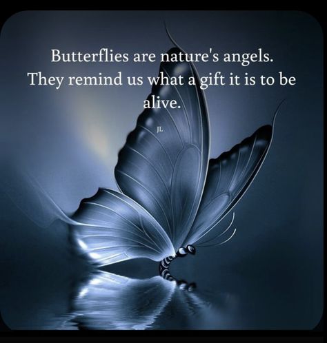 Share A Thought Messenger Ideas, Inspirational Uplifting Quotes, Spiritual Connections, Dragonfly Photos, Soul Friend, Beautiful Butterfly Photography, Butterfly Quotes, I Love You God, Choices Quotes