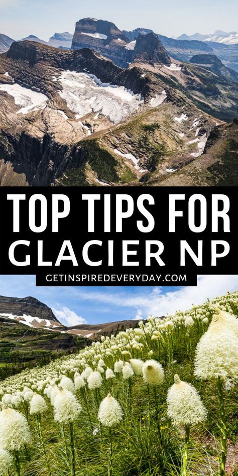 Glacier National Park Vacation, Visiting Glacier National Park, Glacier National Park Hikes, Glacier National Park Trip, Utah National Parks Road Trip, Wyoming Vacation, Montana Travel, Yellowstone Trip, Best Trip