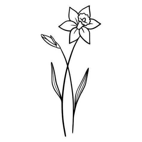 45 Black Silhouette Of Narcissus Flower. Vector Illustration Illustrations & Clip Art - iStock Narcissus Flower Tattoo, Narcissus Flower Tattoos, Flower Vector Illustration, Arm Sleeve Tattoos For Women, Daffodil Flowers, Daffodil Tattoo, Flower Line Art, Plant Icon, Narcissus Flower