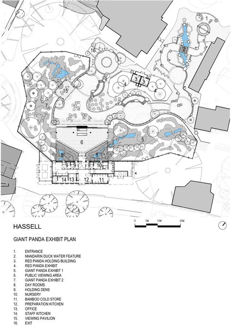 Gallery of Adelaide Zoo Giant Panda Forest / Hassell - 15 Zoo Floor Plan, Zoo Masterplan, Zoo Decor, Zoo Map, Aquarium Architecture, Zoo Design, Zoo Project, Zoo Architecture, Zoo Ideas