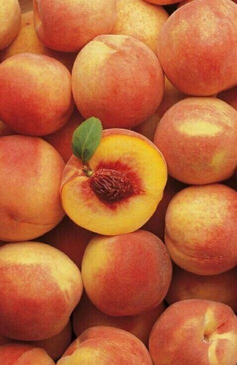 Peaches Wallpaper, Nectarine Fruit, Health Is Wealth, Peach Aesthetic, Peach Fruit, Orange You Glad, Peach Trees, Iphone Wallpaper Photos, In Season Produce