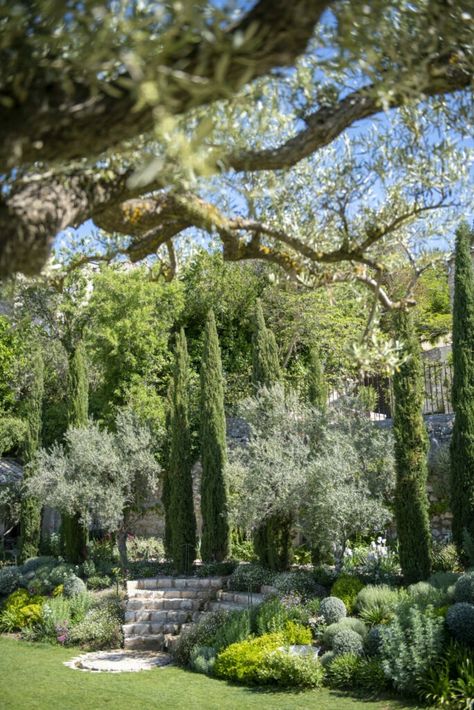 Cascade garden in the historical center of a Provençal village Green Garden Ideas, Cascade Garden, Cornwall Garden, Mediterranean Garden Design, Mediterranean Gardens, Provence Garden, Architectural Garden, French Country Garden, Dry Garden