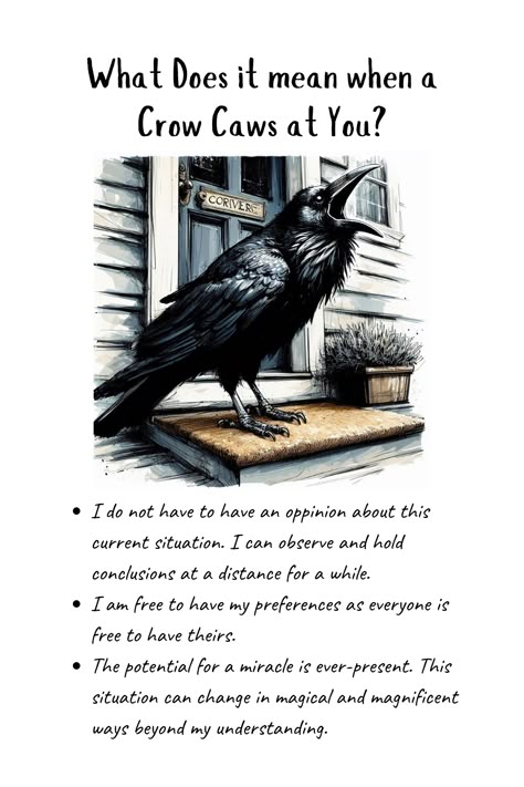 If a crow has visited you, something about your energy has attracted their interest. They see something in you that you don’t see in yourself. You may not have ever considered yourself a mystical or spiritual person, but surprize surprize. Everyone is a mystical and spiritual person because we are all mysteries of infinite depths. Crow sees something in you that is ready to emerge, even if that means it will disrupt your everyday regular routine. Will you answer the call? Crow Spiritual Meaning, Crow Meaning, Crow Facts, Crow Spirit Animal, Pet Raven, Raven Pictures, Crow Call, Backyard Birds Watching, Spirit Animal Meaning