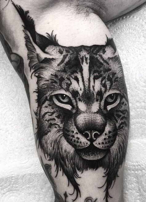 Kelly Violence lynx tattoo Linx Cat Tattoo, Lynx Cat Tattoo, Wild Cat Tattoo, Lynx Tattoo, Scientific Tattoo, Iberian Lynx, Evil Tattoo, Tattoo Concepts, Western Tattoos